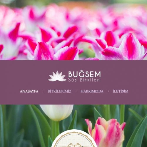 Bugsemsusbitkileri.com websitesi yayına girdi