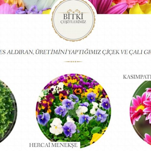 Bugsemsusbitkileri.com websitesi yayına girdi