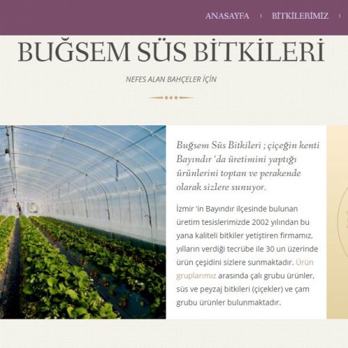 Bugsemsusbitkileri.com websitesi yayına girdi