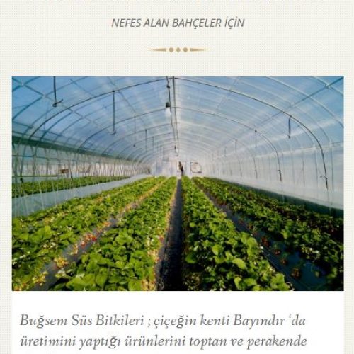 Bugsemsusbitkileri.com websitesi yayına girdi